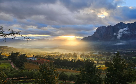 Winter in the Winelands