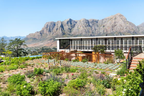 winter special offer wellness retreat stellenbosch franschhoek winter special offer wellness retreat stellenbosch franschhoek