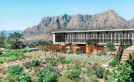 winter in the cape winelands winter in the cape winelands