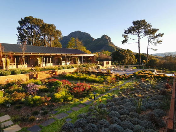 stellenbosch winter offers hotels guest houses stellenbosch winter offers hotels guest houses