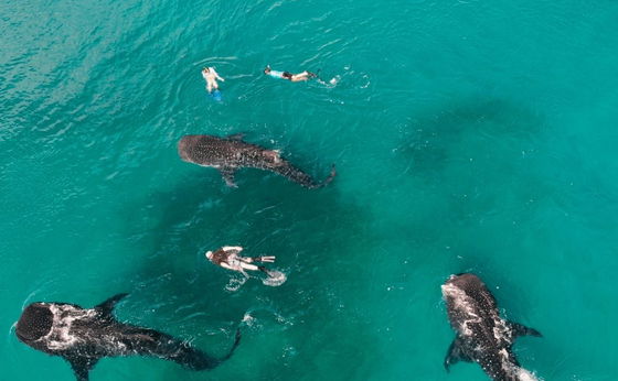 Tanzanian Resident Special Offer - valid until 20th Dec 2025!