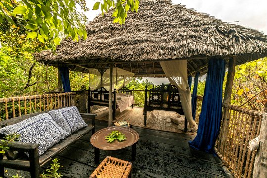 family package stay accommodation in a treehouse lodge on tropical chole island in tanzania east africa