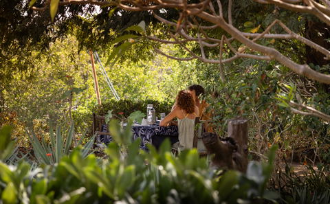 Breakfast with birdsong as background music