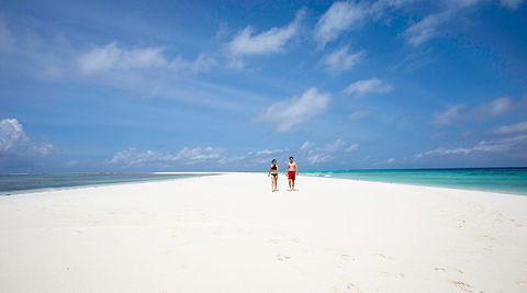 romantic island holiday tree houses