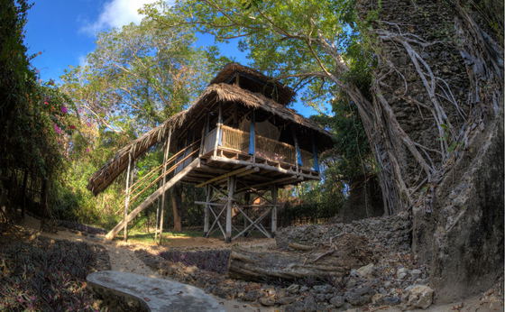 Treehouse Tano