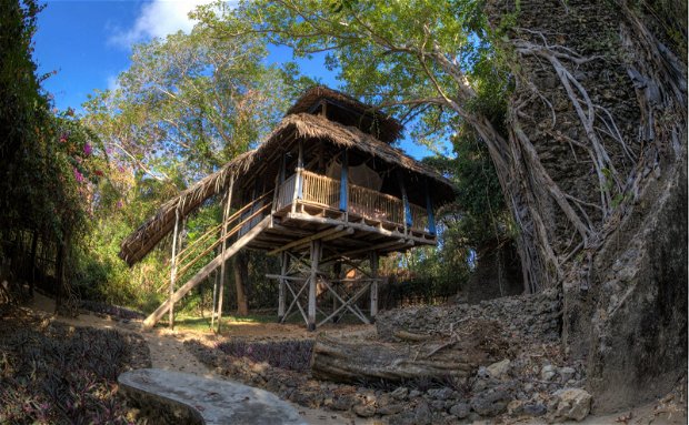 tree house island holiday