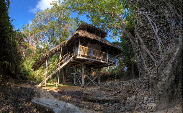tree house island holiday tree house island holiday