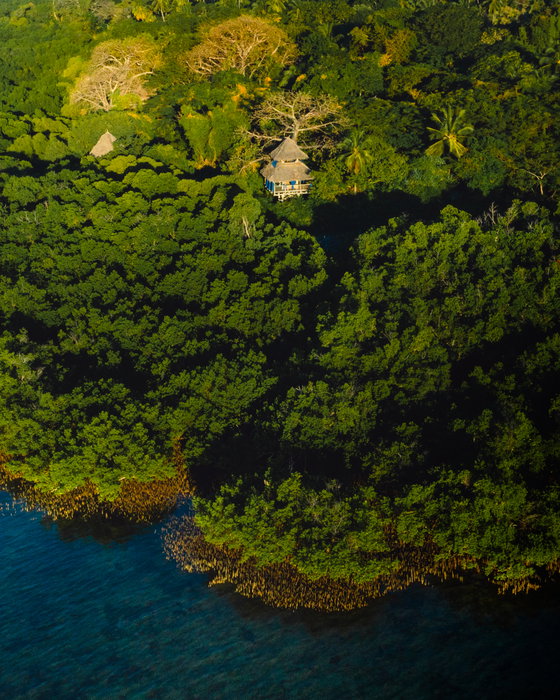 Tree House accommodation. Luxuriate in Nature with beach sounds and bird song. 
