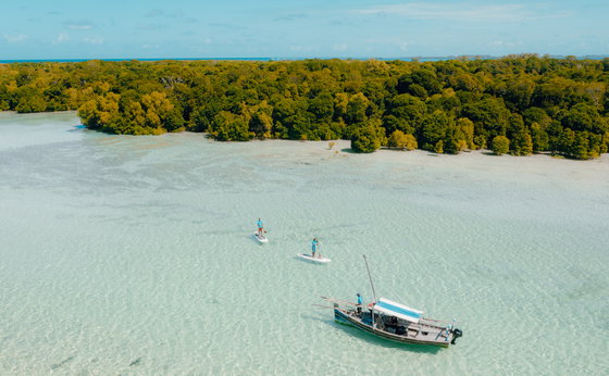 Supping & Paddle Boarding