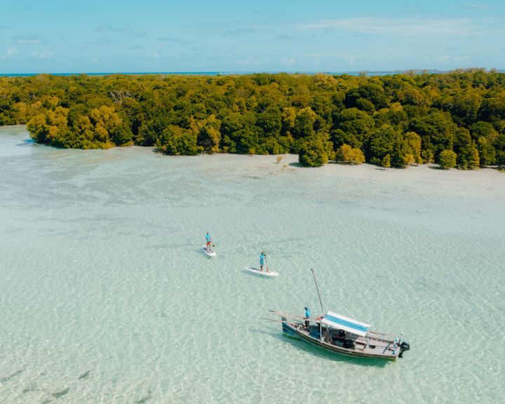 Two paddle boarders and a dhow on the shallow, clear water of Chole Bay, beside the mangroves