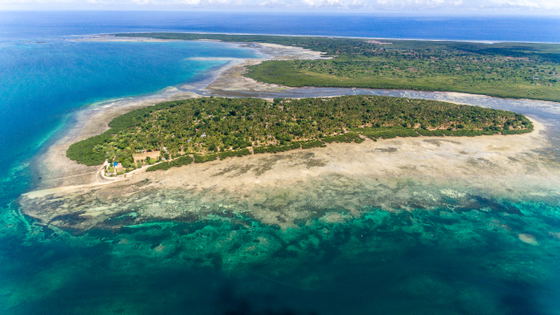 island family holiday indian ocean tree houses island family holiday indian ocean tree houses