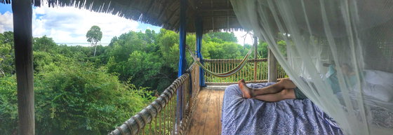 tree house island holiday tree house island holiday