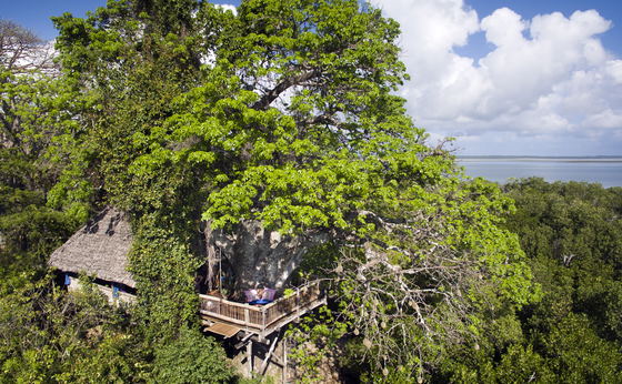 Treehouse Moja