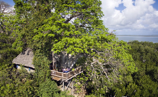 moja tree house island holiday