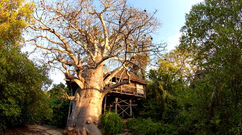 moja tree house island holiday