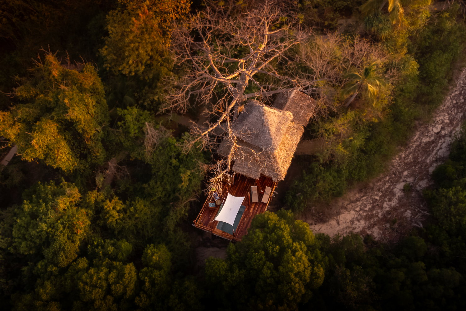 Nne Treehouse