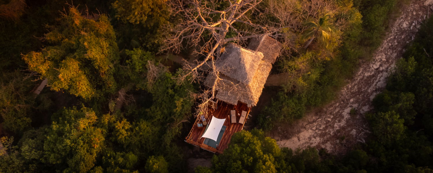 Nne Treehouse