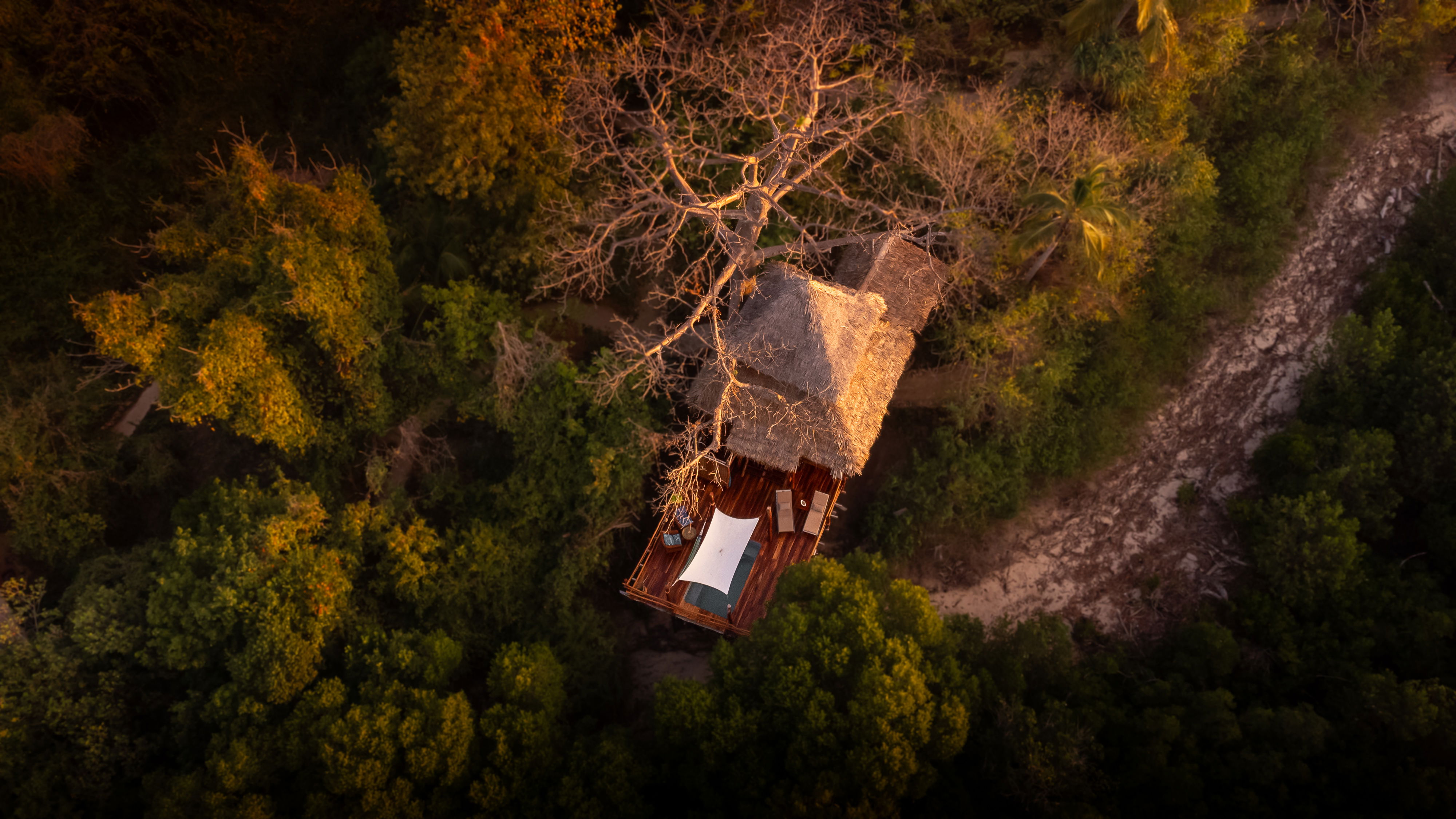 More than just treehouses