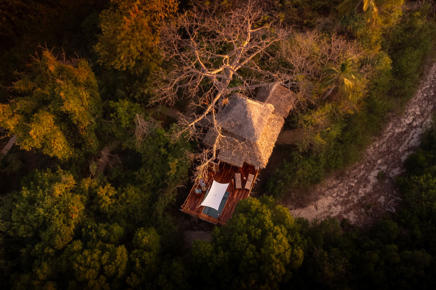 More than just treehouses