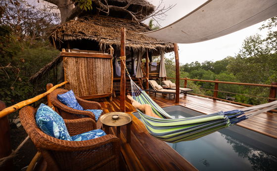 Treehouse Nne