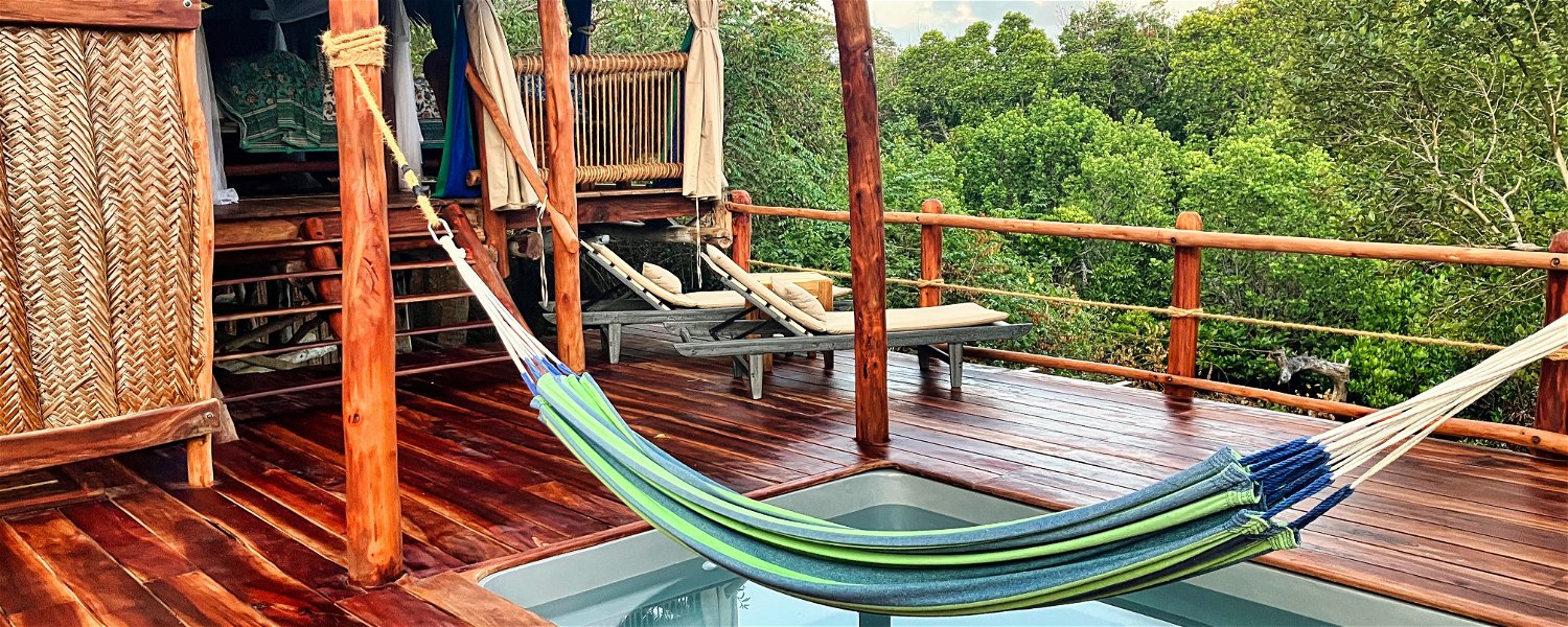 Nne Treehouse with swimming pool in Chole Mjini