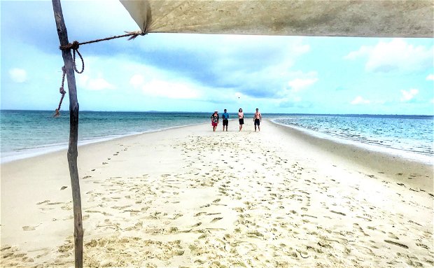 sandbank picnics