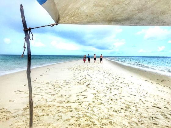 sandbank picnics sandbank picnics