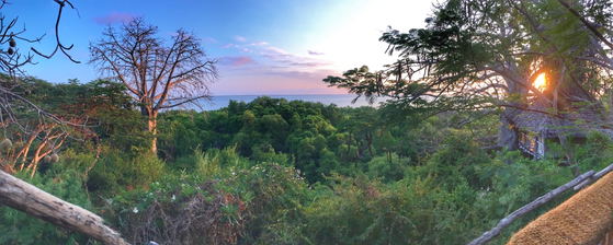treehouse honeymoon africa treehouse honeymoon africa