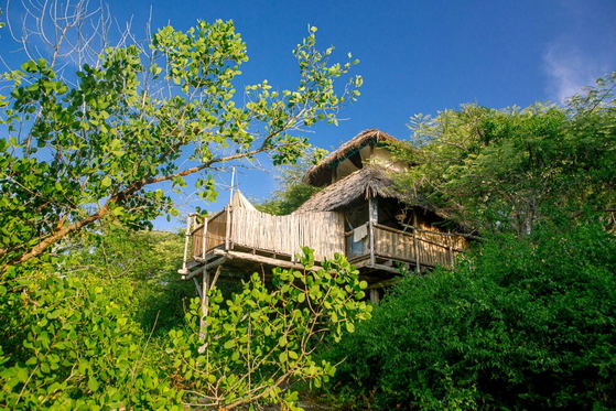 Chole Mjini Island Getaway Voucher Offer Get 20% Off, 3 Night Stay. Located in Mafia Marine Park Tazania. Chole Mjini Island Getaway Voucher Offer Get 20% Off, 3 Night Stay. Located in Mafia Marine Park Tazania.