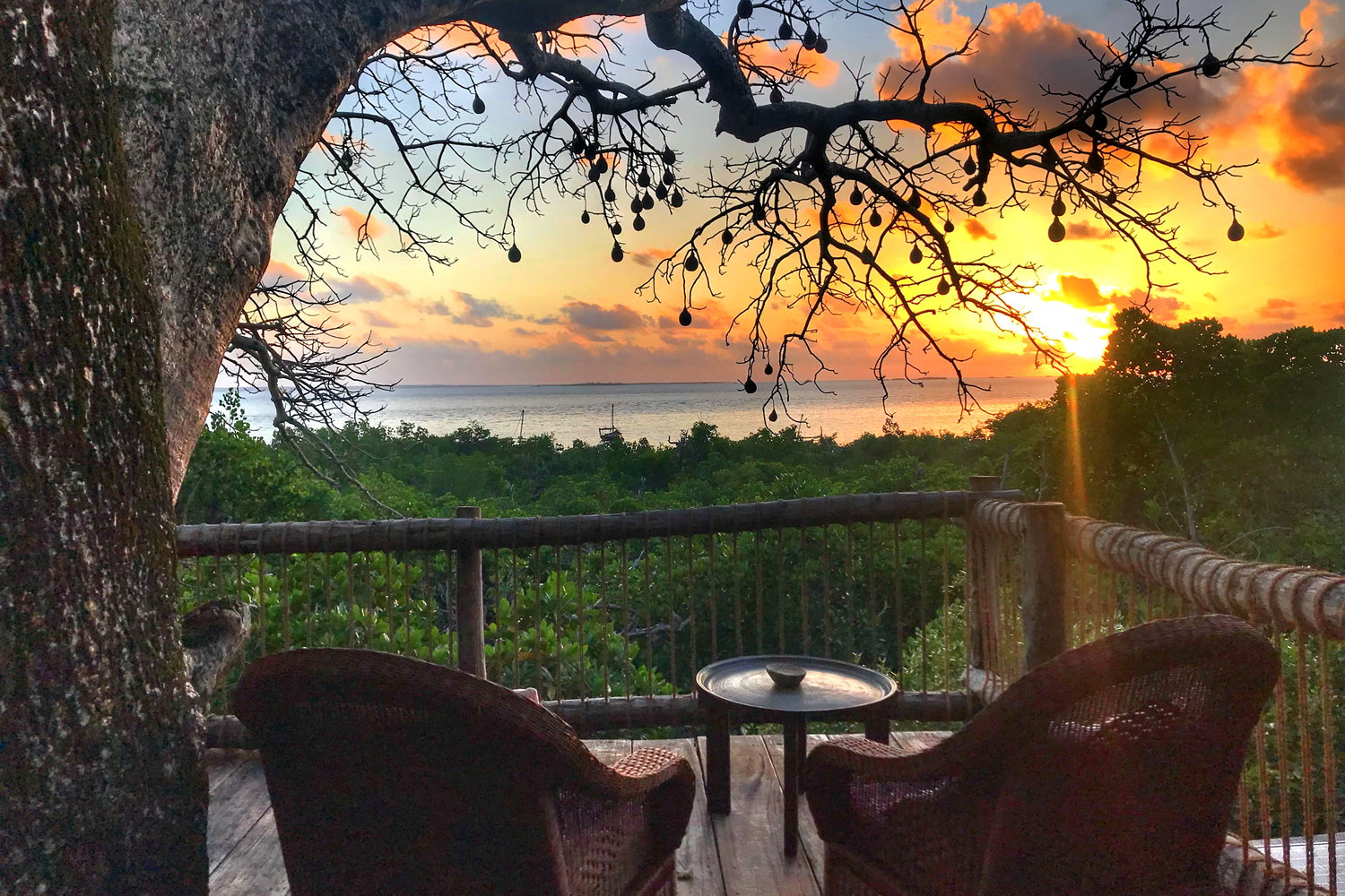 stay accommodation in a treehouse lodge on a remote island holiday in Tanzania East Africa