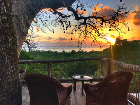 stay accommodation in a treehouse lodge on a remote island holiday in Tanzania East Africa