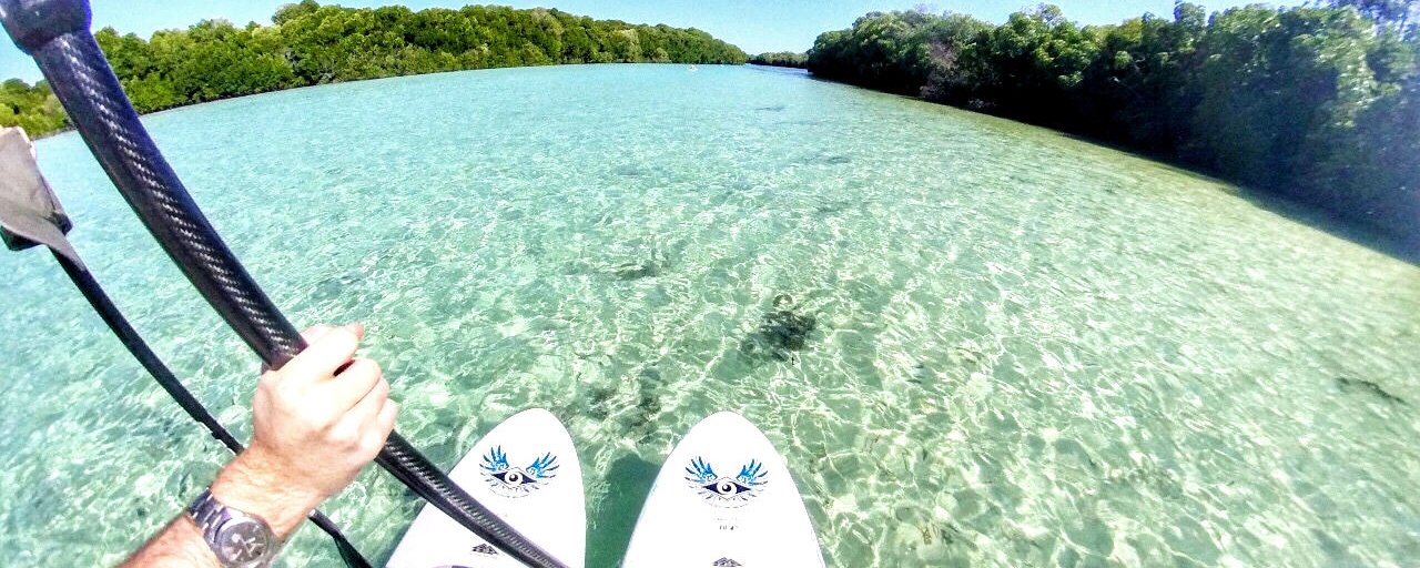 supping and paddle boarding on an island