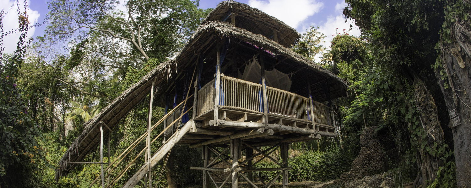 Tano Treehouse