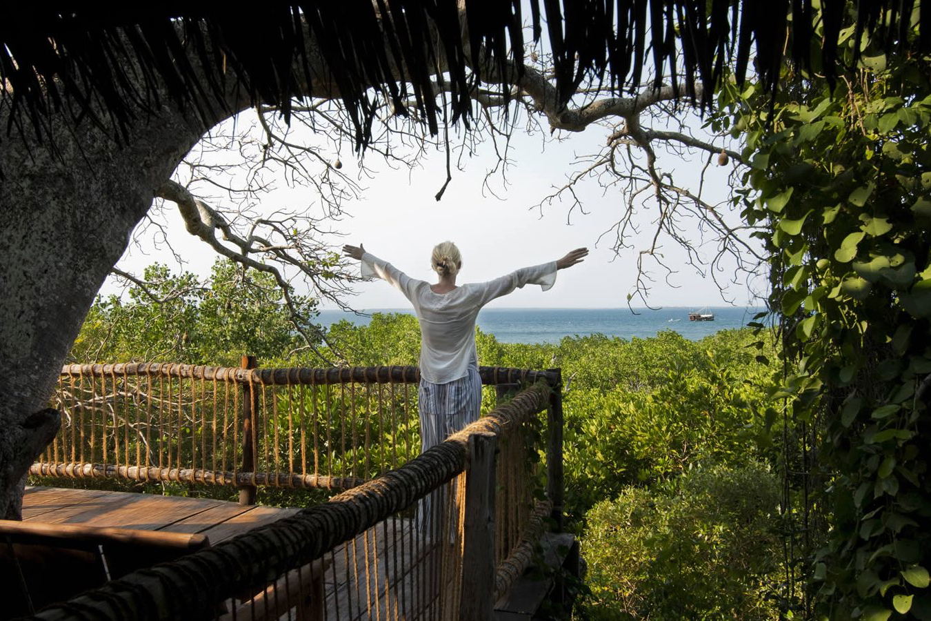 Treehouse baobab