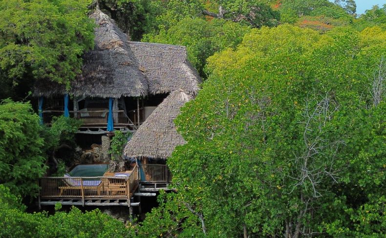 Treehouse Tatu’s thatched roofs and pool deck among the trees above the shore of Chole Island
