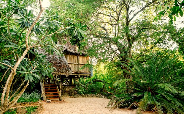 tree house island holiday