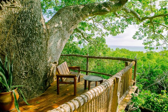 accommodation stay in a treehouse lodge hotel on a tropical island off the coast of tanzania