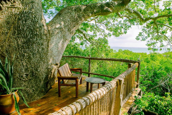 accommodation stay in a treehouse lodge hotel on a tropical island off the coast of tanzania accommodation stay in a treehouse lodge hotel on a tropical island off the coast of tanzania