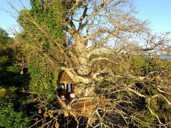 tree house island holiday tree house island holiday