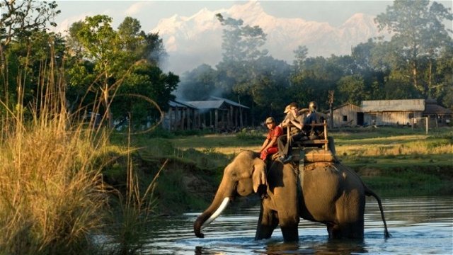 Elephant Ride In Chitwan National Park