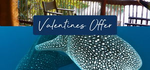 Valentine's Offer💙 - From 10 to 20 Feb 2025!