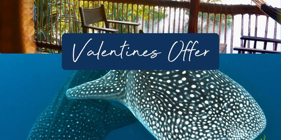 Valentine's Offer💙 - From 10 to 20 Feb 2025!