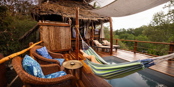 Chole Mjini Tree Houses