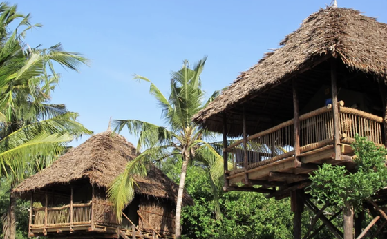 Shared Bathroom Stilt House
