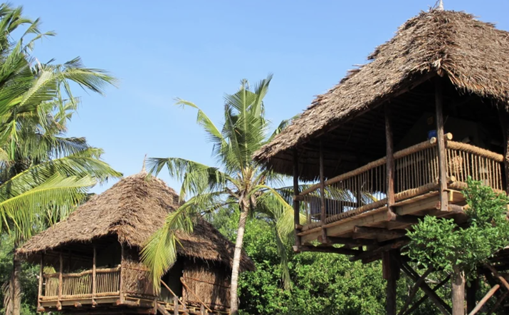 Shared Bathroom Stilt House