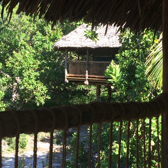 Beach Houses
