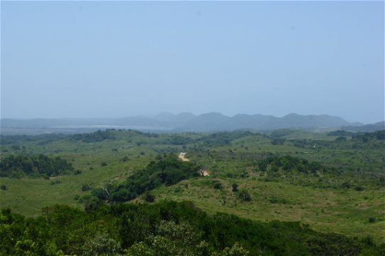 View from Kwasheleni Tower - iSimangaliso wetlands park Kzn, South Africa