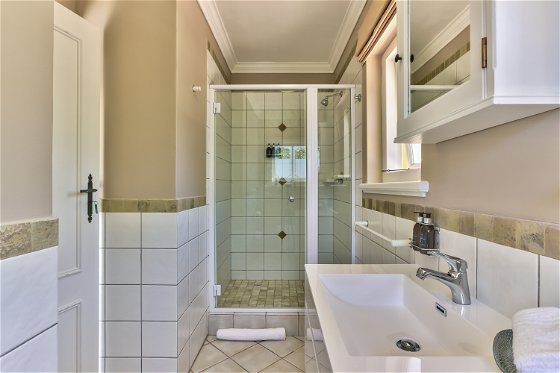 Superior Luxury Suite Bathroom and Shower Fynbos