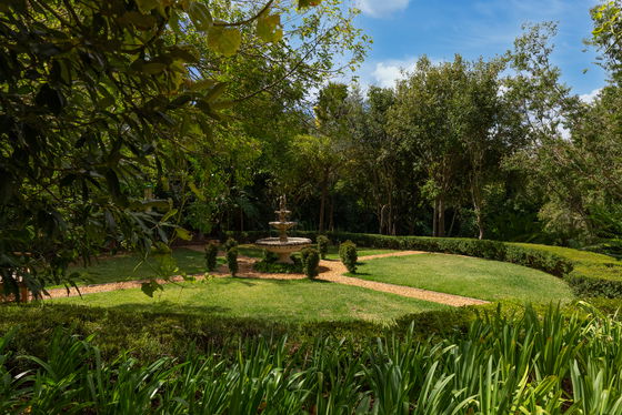 Garden with Water Fountain