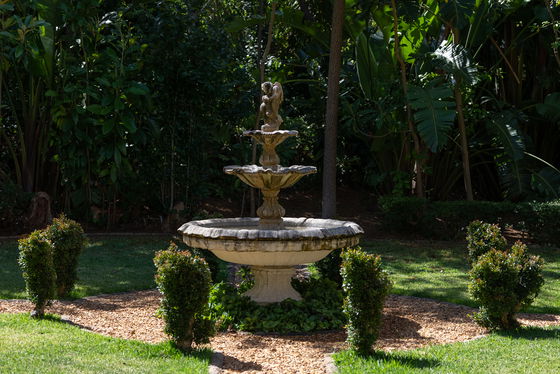 Garden with Water Fountain